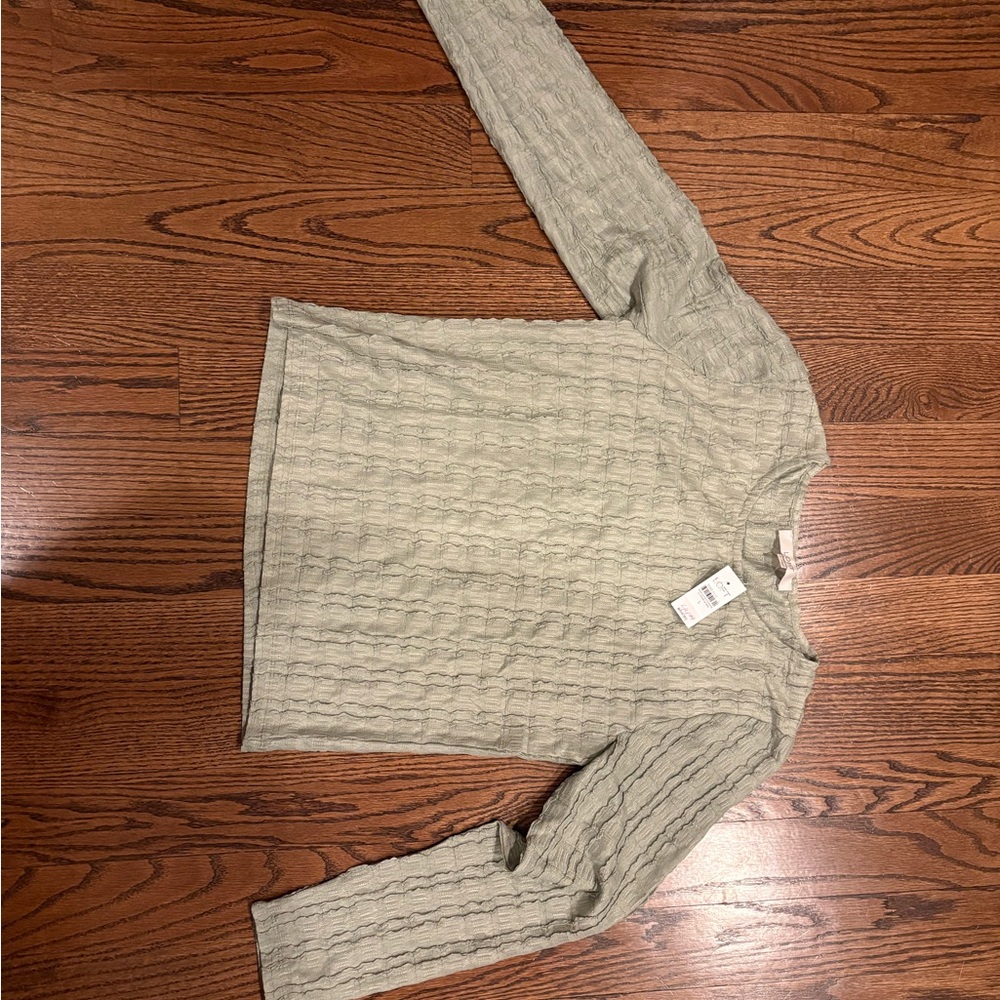 LOFT Light Sage Colored Long Sleeve Top